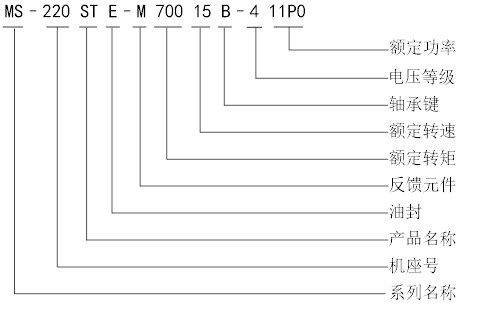 MS-220命名.png